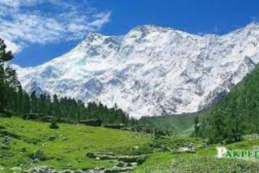 Tour to Fairy Meadows and Nanga Parbat Base camp