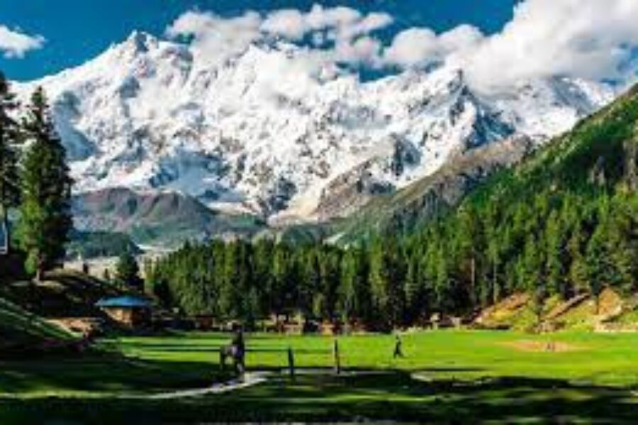 By Air Tour to Fairy Meadows & Nanga Parbat Base camp