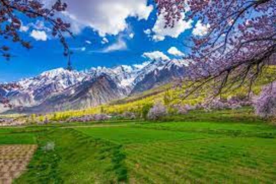 By Air tour to Skardu Deosai & Hunza Valley